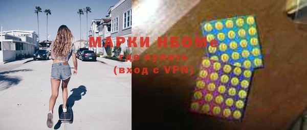 гидра Верхний Тагил