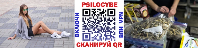 Купить закладки  Междуреченск  Псилоцибиновые грибы Magic Shrooms 